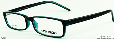 Envision 291